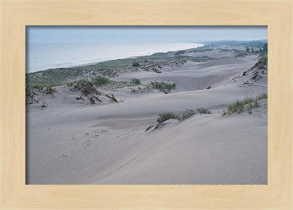 Tranquil Dawn At Indiana Dunes