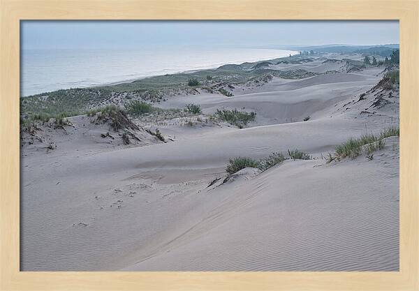Tranquil Dawn At Indiana Dunes