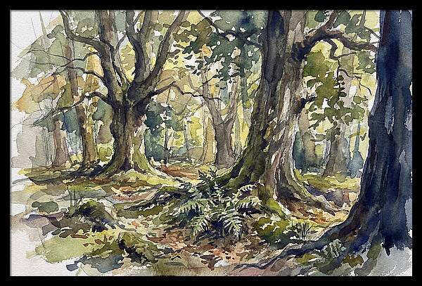 Tranquil Deciduous Forest Scene