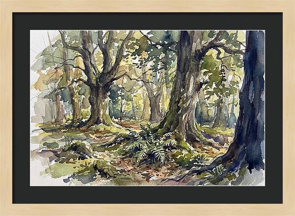 Tranquil Deciduous Forest Scene