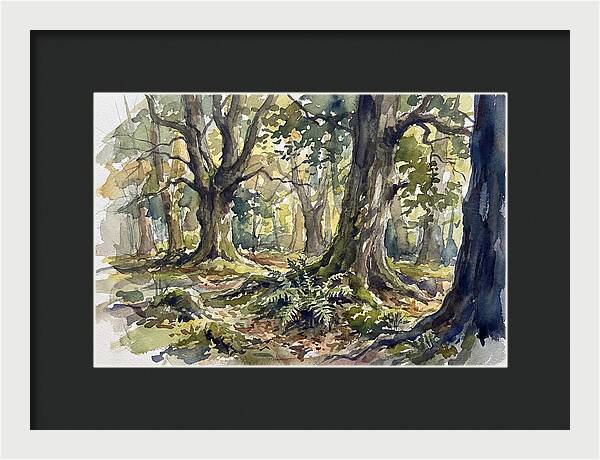Tranquil Deciduous Forest Scene