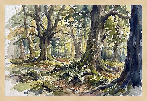 Tranquil Deciduous Forest Scene