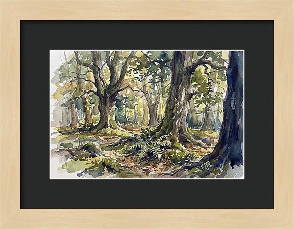 Tranquil Deciduous Forest Scene