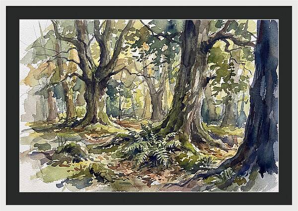Tranquil Deciduous Forest Scene