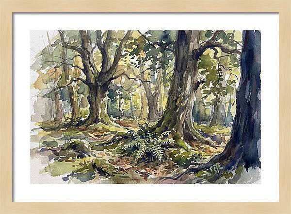 Tranquil Deciduous Forest Scene