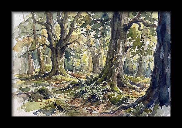 Tranquil Deciduous Forest Scene