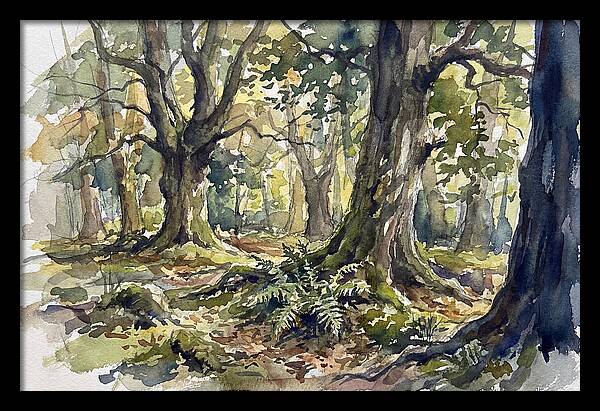 Tranquil Deciduous Forest Scene