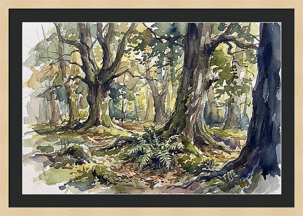 Tranquil Deciduous Forest Scene