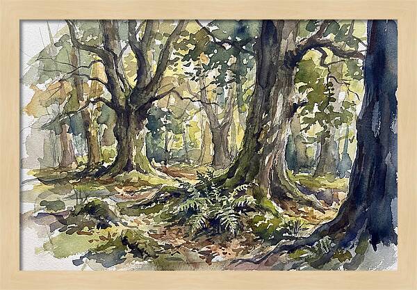 Tranquil Deciduous Forest Scene