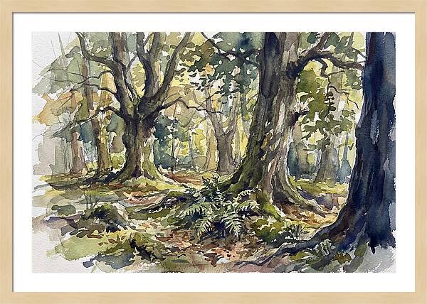 Tranquil Deciduous Forest Scene