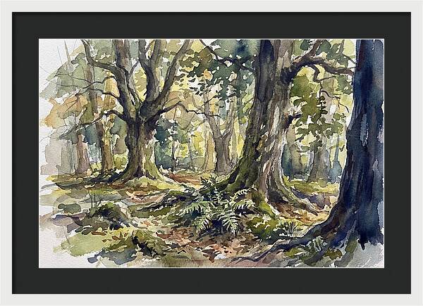 Tranquil Deciduous Forest Scene