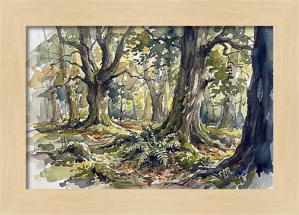 Tranquil Deciduous Forest Scene
