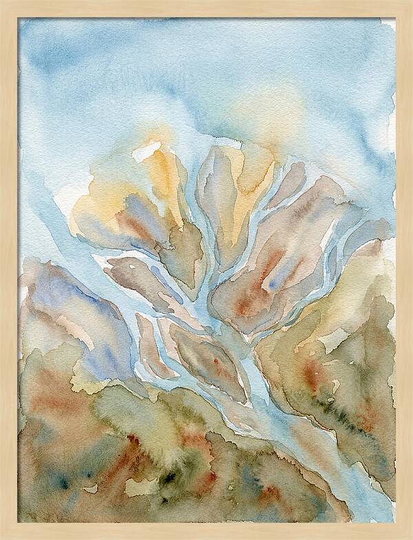 Tranquil Delta Horizon