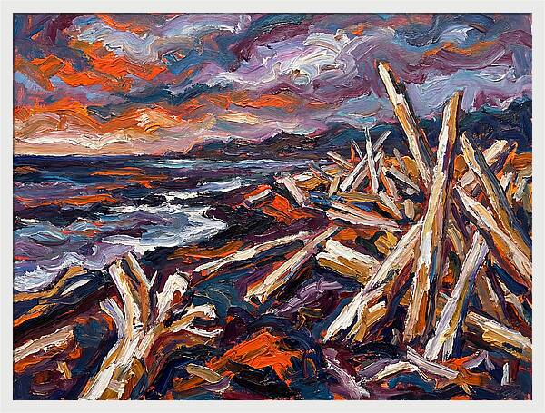 Tranquil Driftwood Shoreline