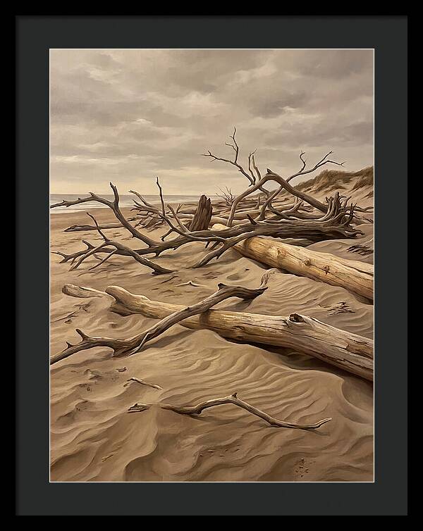 Tranquil Driftwood Shores