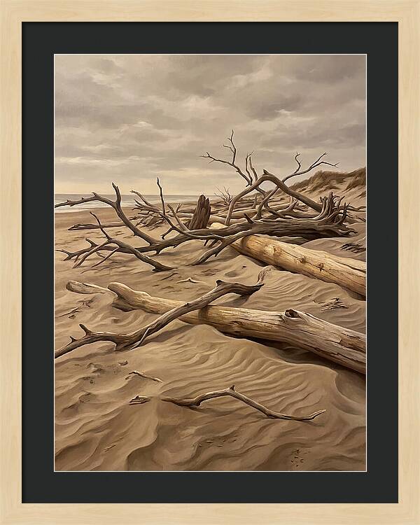 Tranquil Driftwood Shores