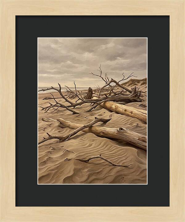 Tranquil Driftwood Shores