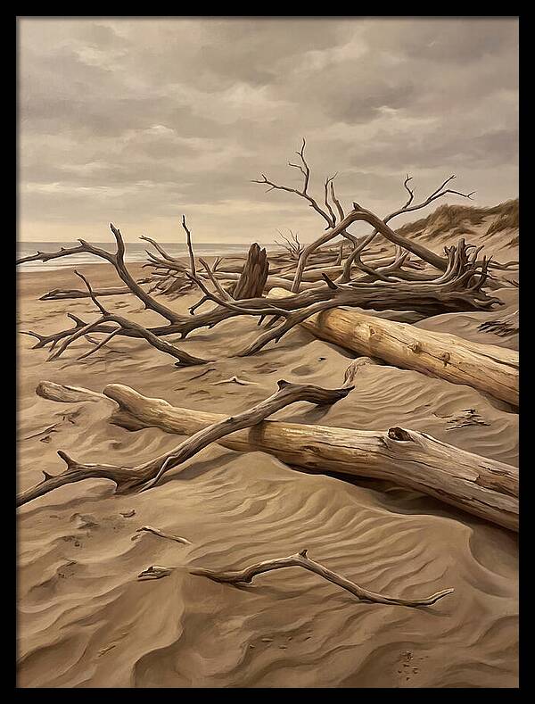 Tranquil Driftwood Shores