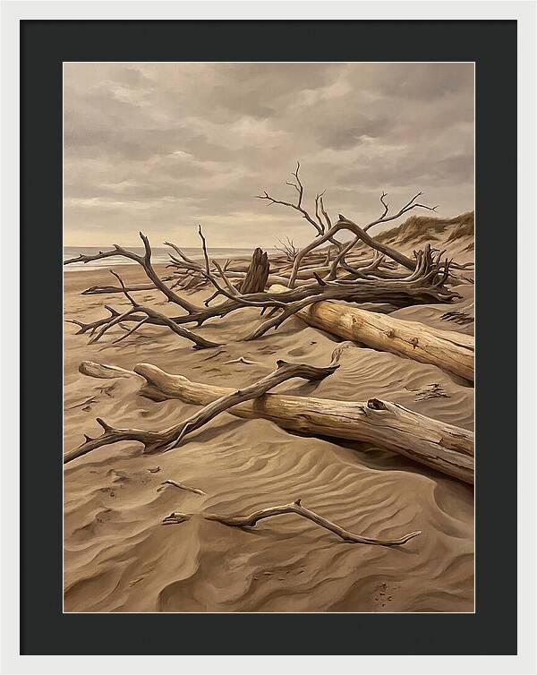 Tranquil Driftwood Shores