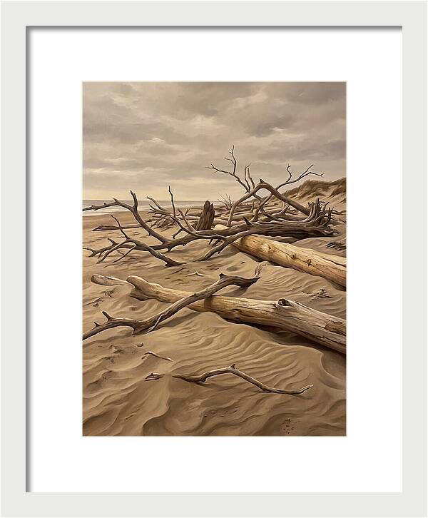 Tranquil Driftwood Shores