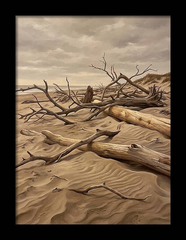 Tranquil Driftwood Shores