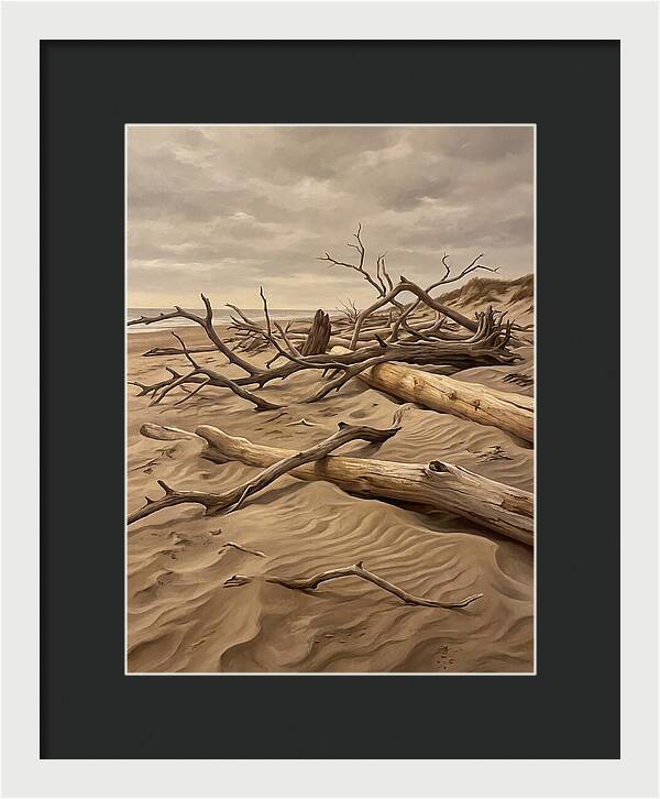 Tranquil Driftwood Shores