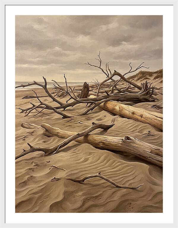 Tranquil Driftwood Shores