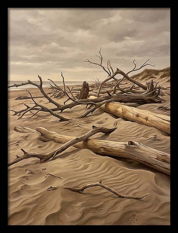 Tranquil Driftwood Shores