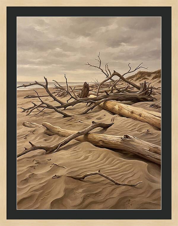 Tranquil Driftwood Shores