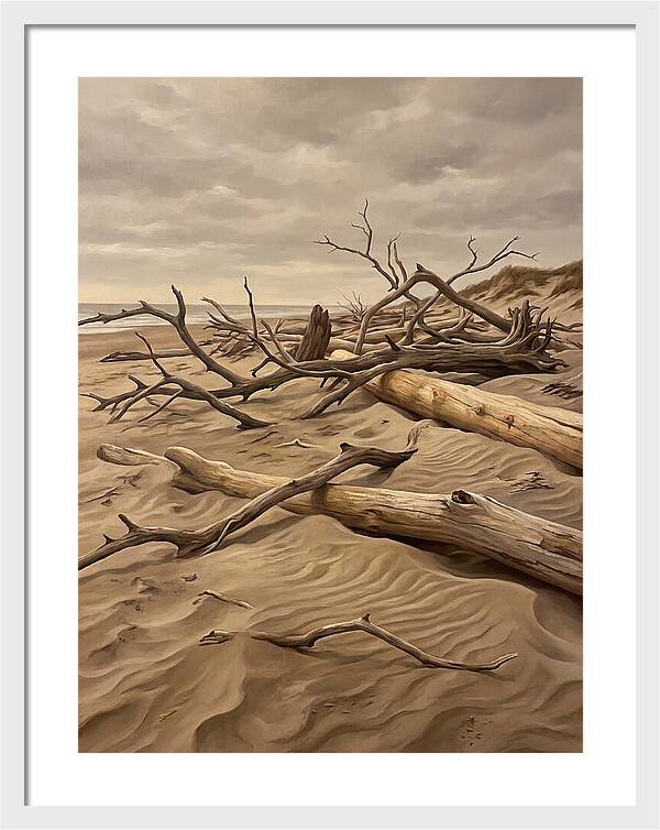 Tranquil Driftwood Shores