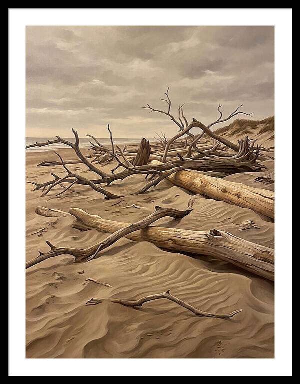 Tranquil Driftwood Shores