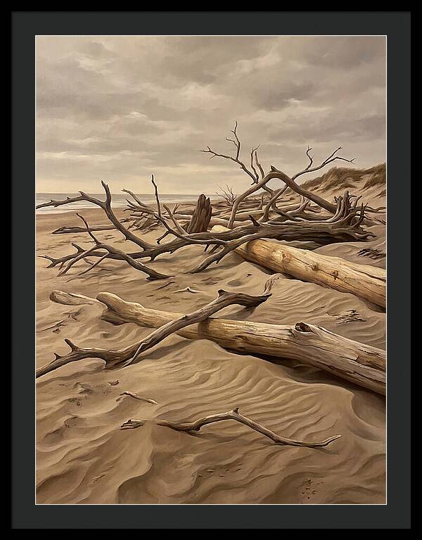 Tranquil Driftwood Shores