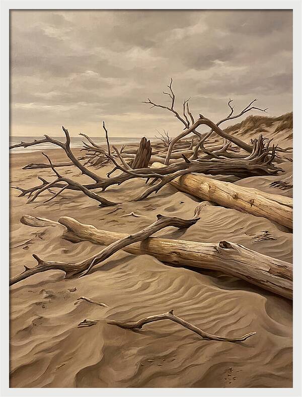 Tranquil Driftwood Shores