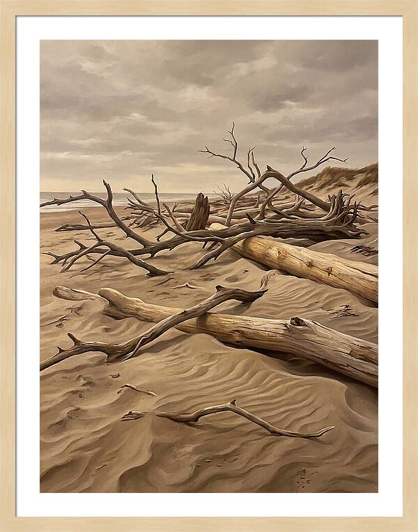 Tranquil Driftwood Shores