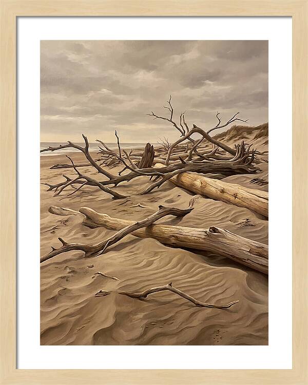 Tranquil Driftwood Shores
