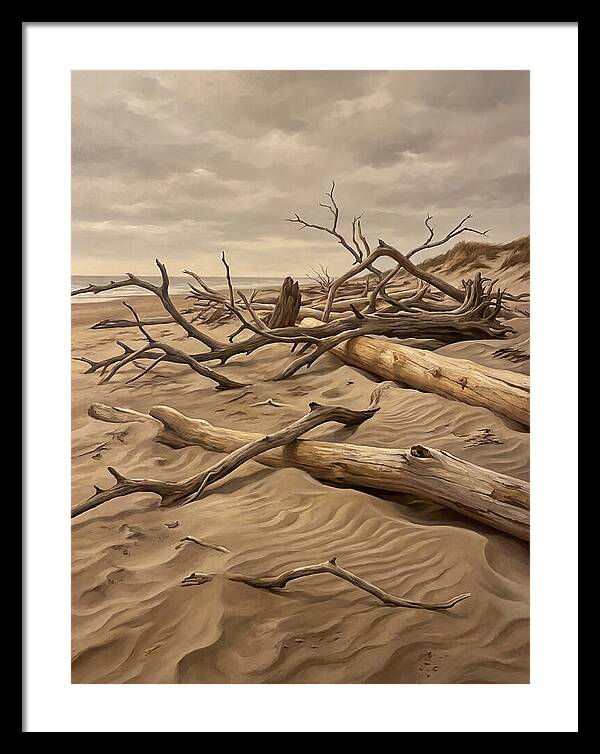 Tranquil Driftwood Shores