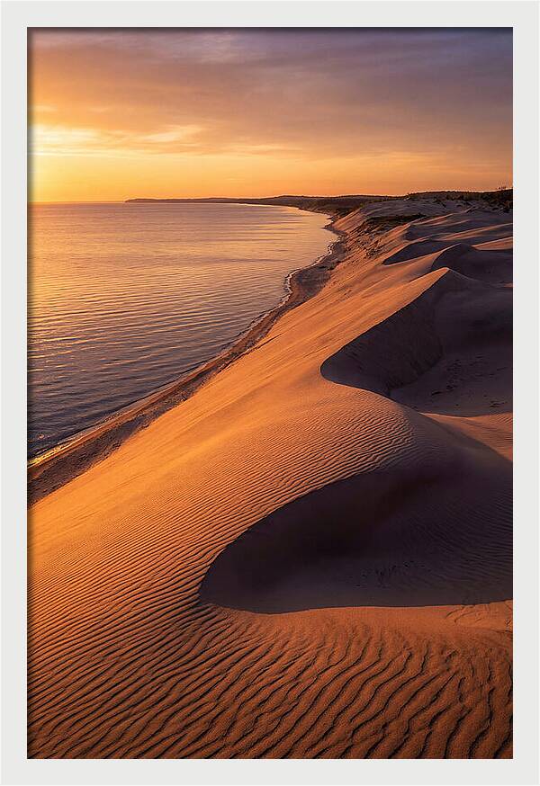 Tranquil Dunes At Dawn