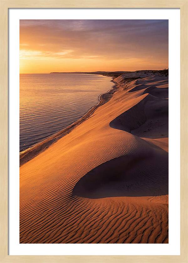 Tranquil Dunes At Dawn