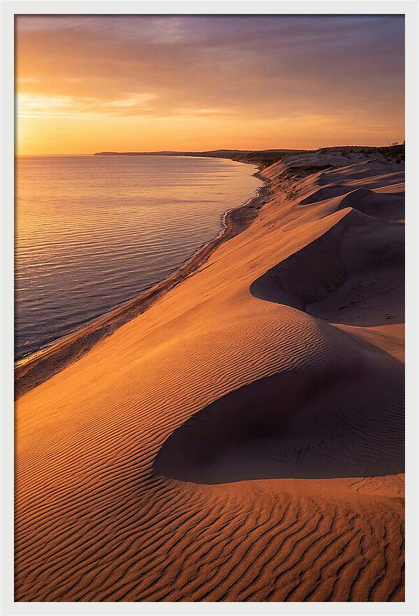 Tranquil Dunes At Dawn