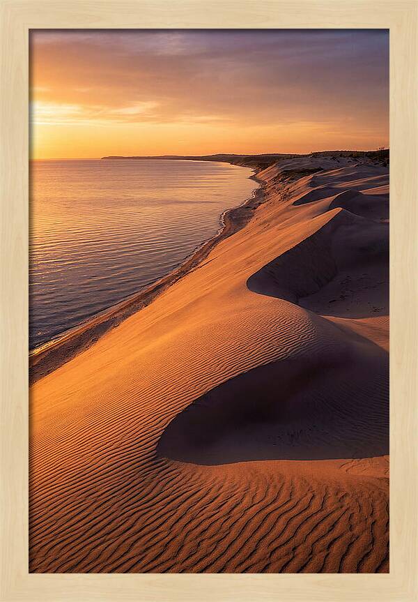 Tranquil Dunes At Dawn