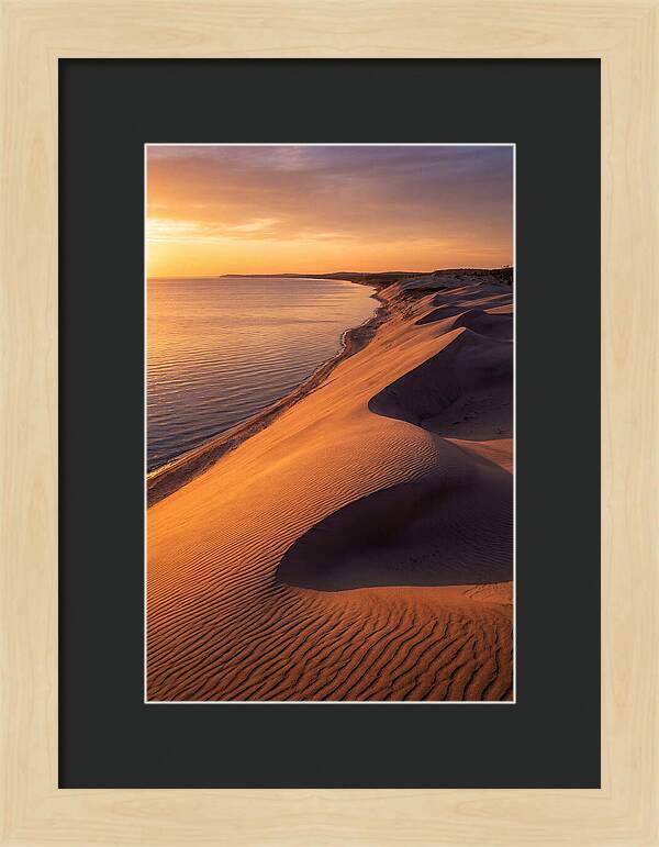 Tranquil Dunes At Dawn