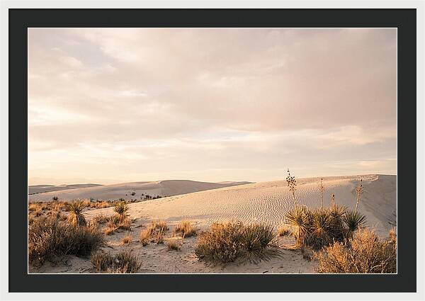 Tranquil Dusk Over White Sands