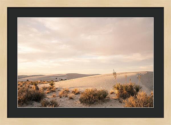Tranquil Dusk Over White Sands
