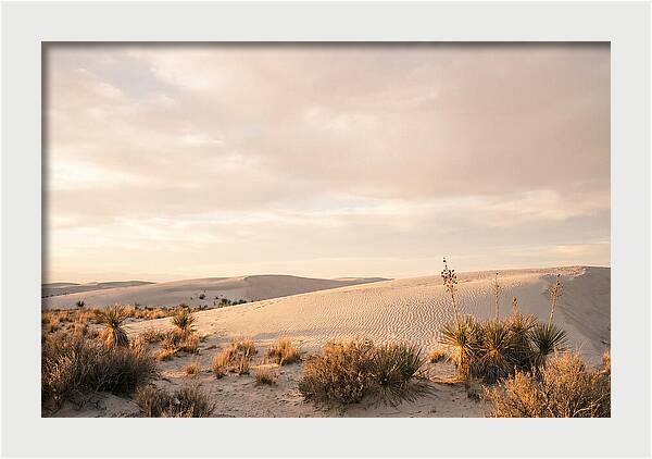 Tranquil Dusk Over White Sands