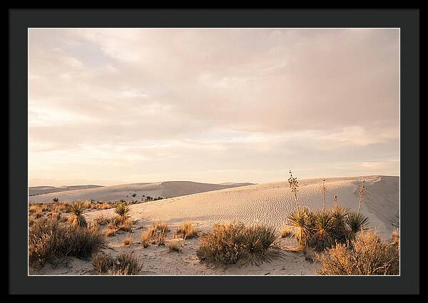 Tranquil Dusk Over White Sands