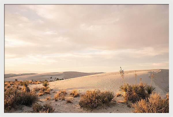 Tranquil Dusk Over White Sands