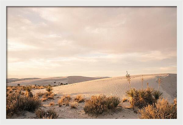 Tranquil Dusk Over White Sands
