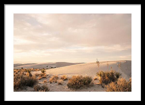 Tranquil Dusk Over White Sands