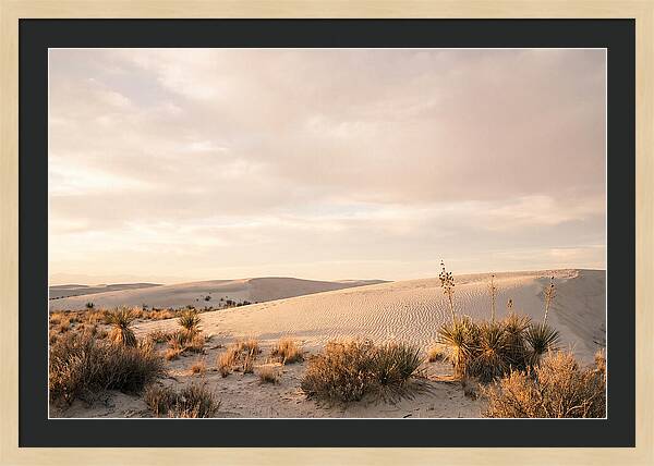 Tranquil Dusk Over White Sands