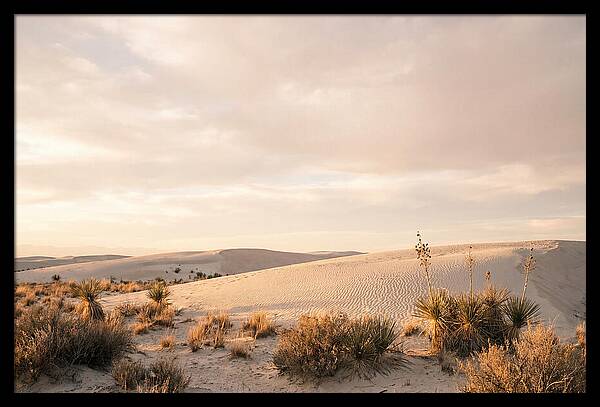 Tranquil Dusk Over White Sands